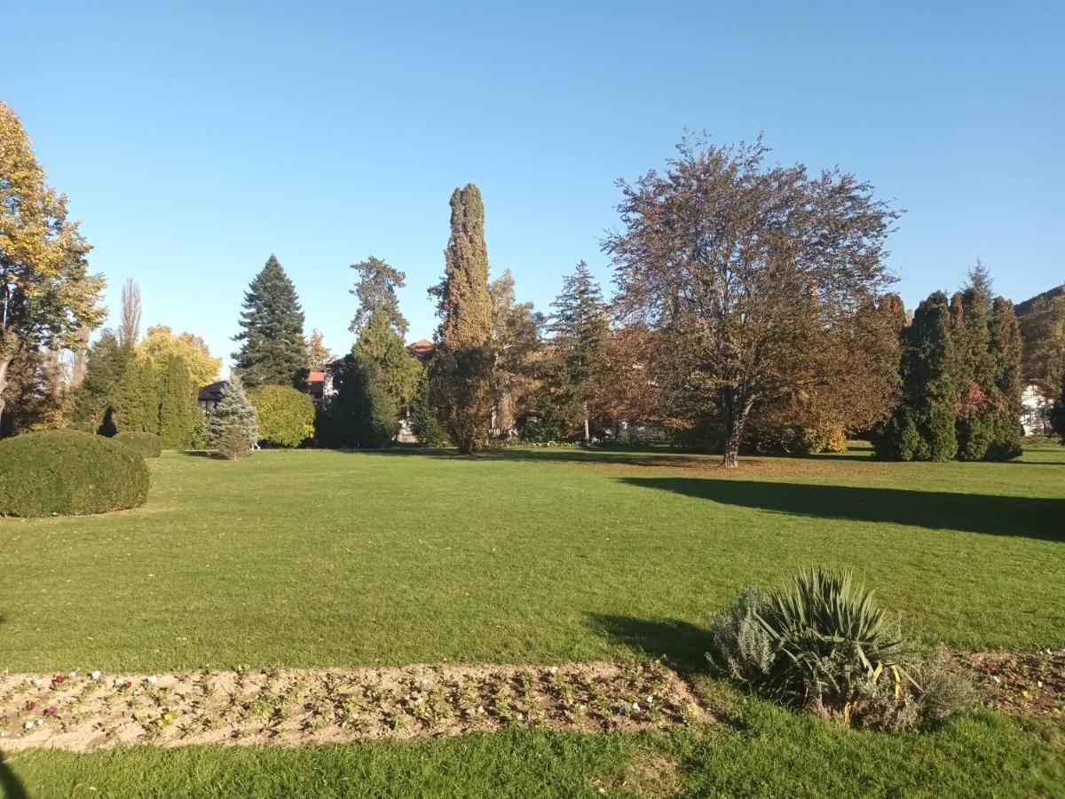 Apartman Lavanda Banja Koviljaca Banja Koviljača Exterior foto
