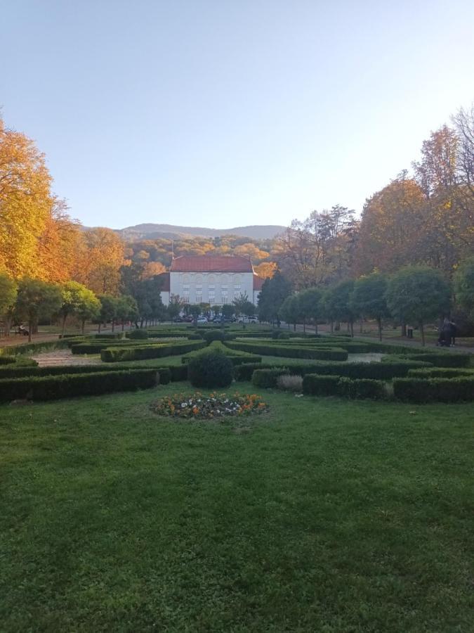 Apartman Lavanda Banja Koviljaca Banja Koviljača Exterior foto
