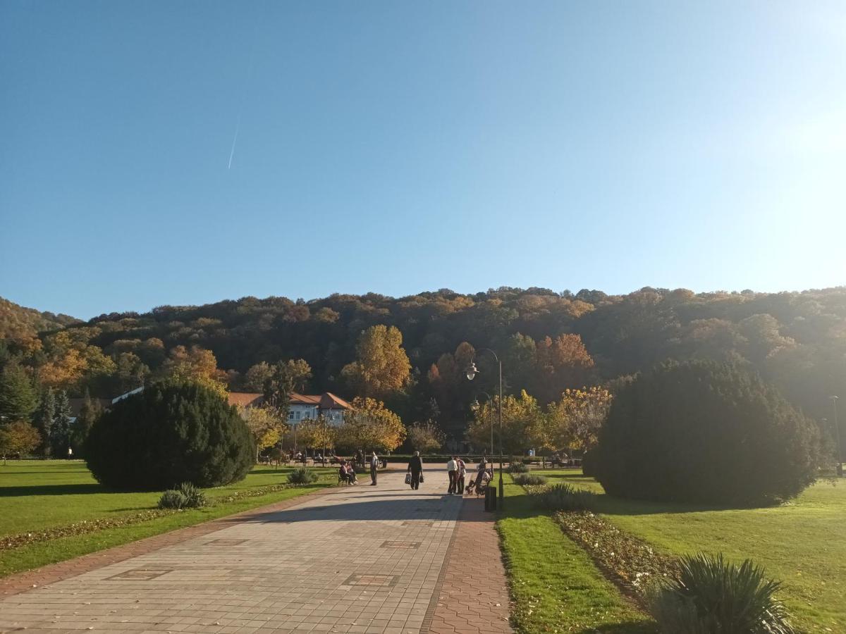 Apartman Lavanda Banja Koviljaca Banja Koviljača Exterior foto