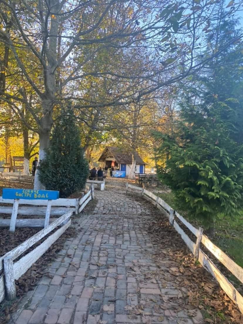 Apartman Lavanda Banja Koviljaca Banja Koviljača Exterior foto