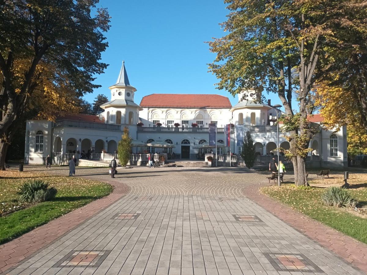Apartman Lavanda Banja Koviljaca Banja Koviljača Exterior foto