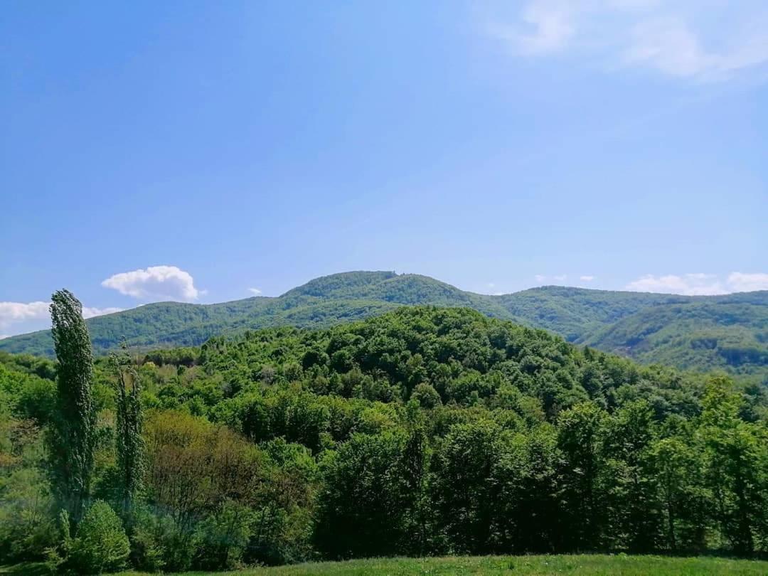 Apartman Lavanda Banja Koviljaca Banja Koviljača Exterior foto
