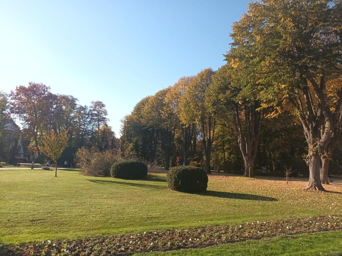 Apartman Lavanda Banja Koviljaca Banja Koviljača Exterior foto